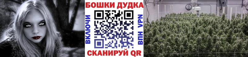 Конопля семена  где найти наркотики  Шумерля 